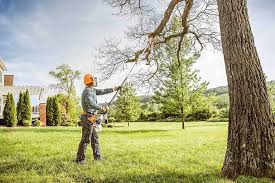  La Villa, TX Tree Removal Pros